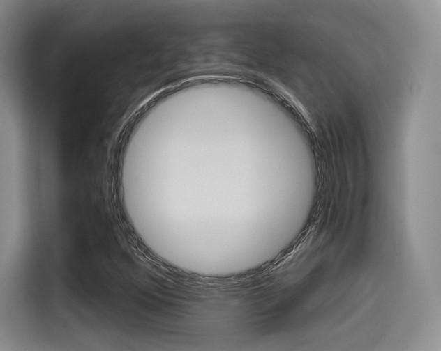 X0000114491352200910191108