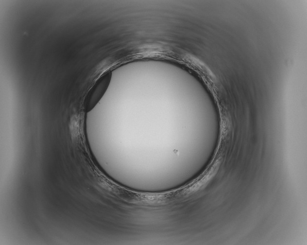 X0000114491353200910191108