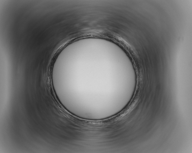 X0000114491354200910191108