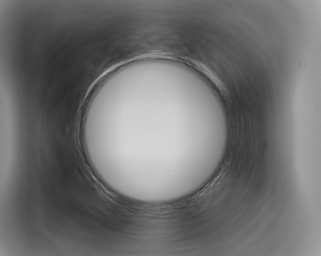 X0000114491356200910191108