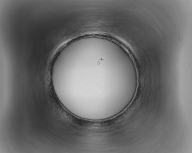 X0000114491359200910191108