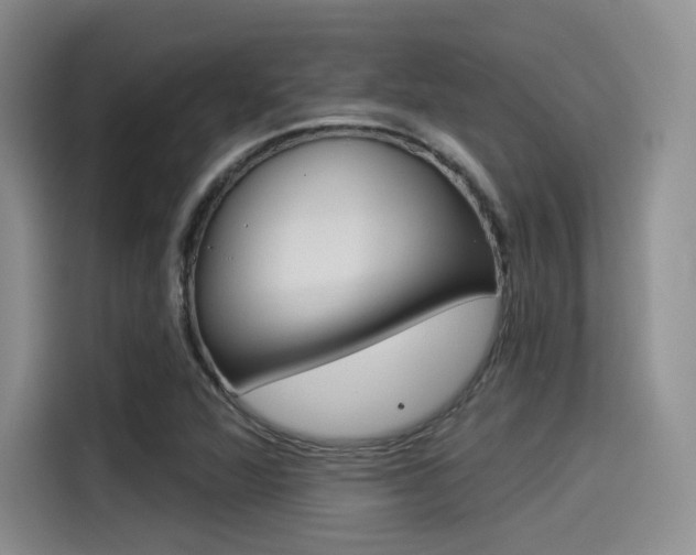 X0000114491360200910191108