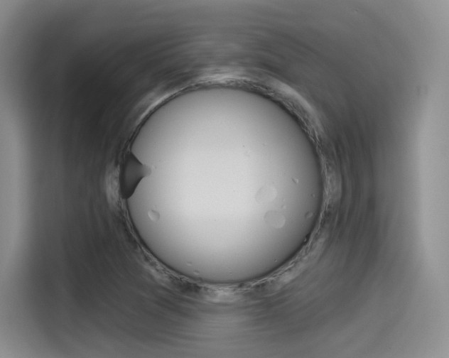 X0000114491361200910191108
