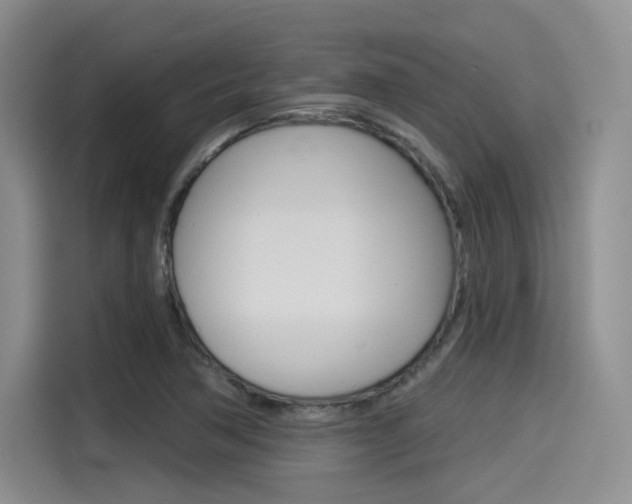 X0000114491362200910191108
