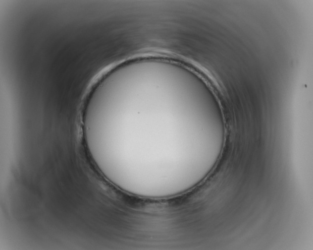 X0000114491363200910191108