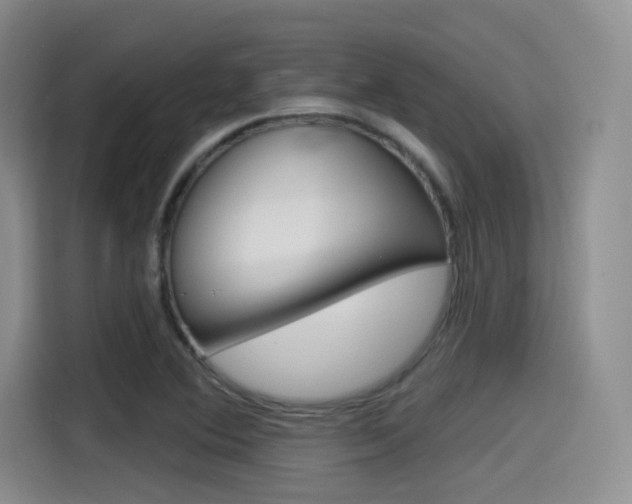 X0000114491364200910191108