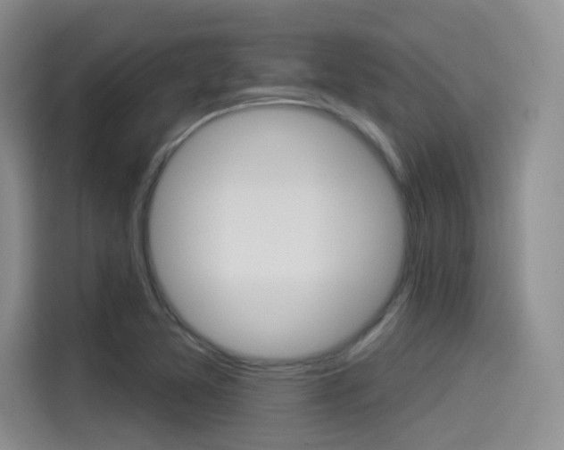 X0000114491365200910191108