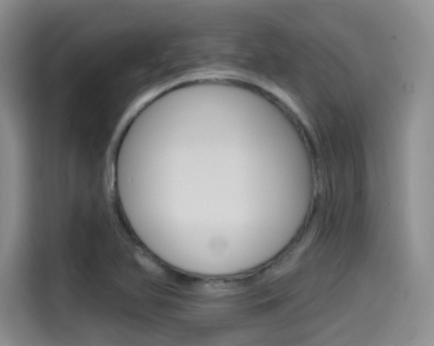X0000114491366200910191108