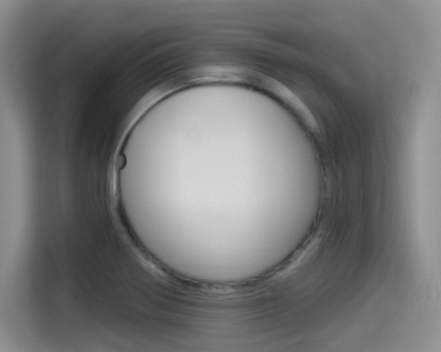 X0000114491370200910191108