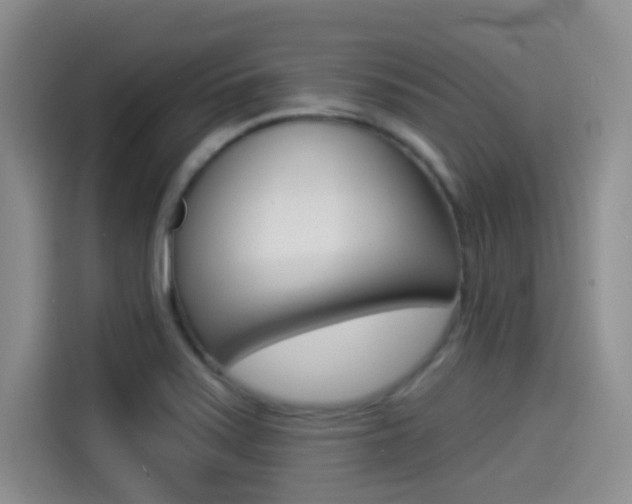 X0000114491371200910191108