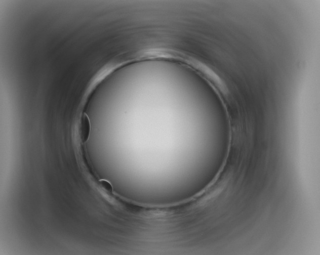 X0000114491373200910191108