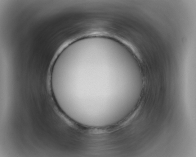 X0000114491374200910191108
