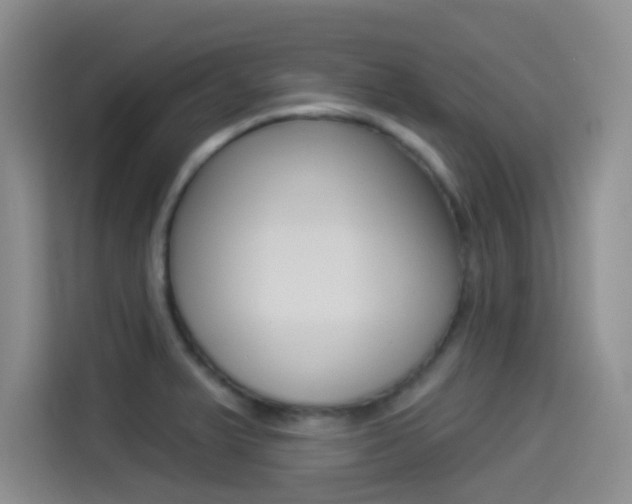 X0000114491375200910191108