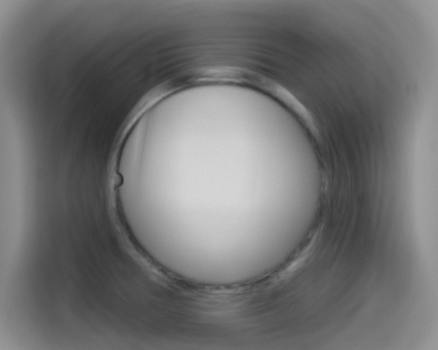 X0000114491378200910191108