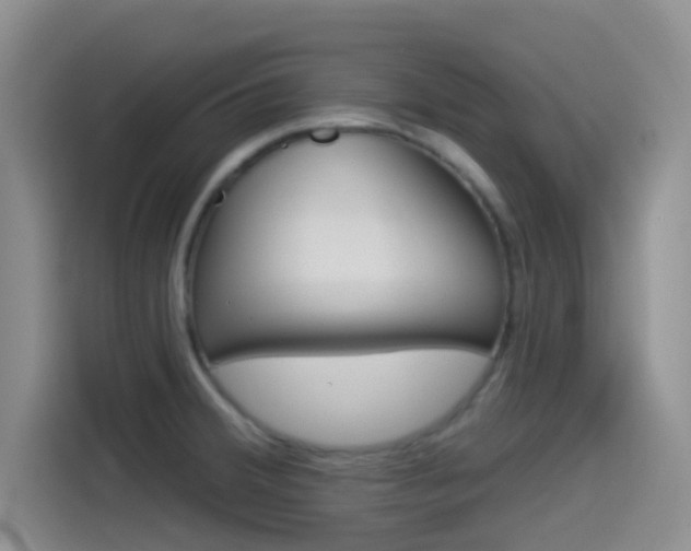 X0000114491380200910191108