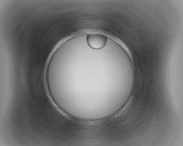 X0000114491381200910191108