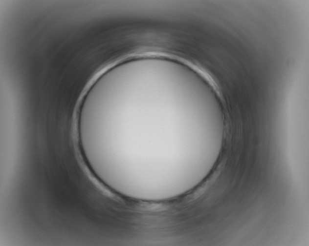 X0000114491382200910191108