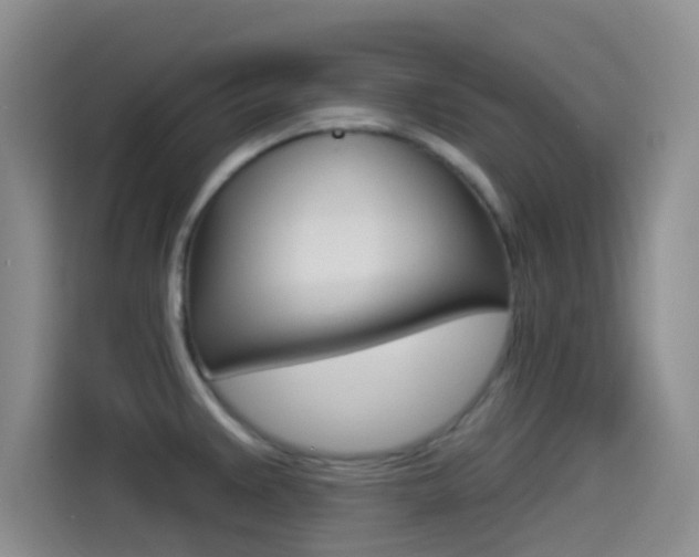 X0000114491383200910191108