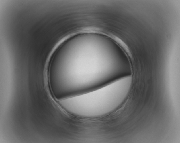 X0000114491384200910191108