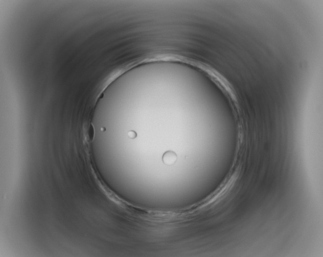 X0000114491385200910191108