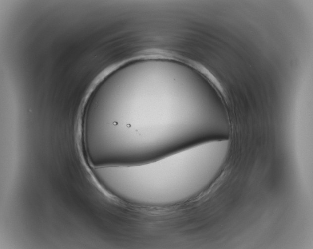X0000114491387200910191108