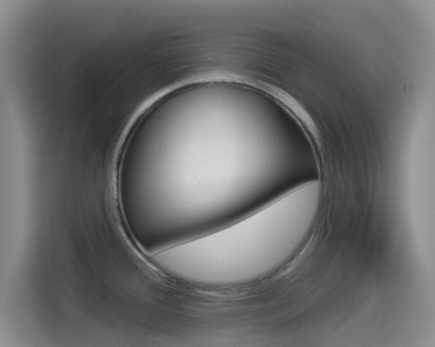X0000114491388200910191108