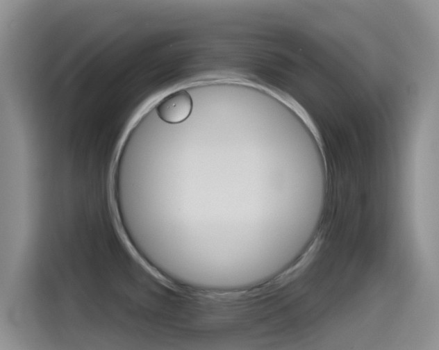 X0000114491389200910191108