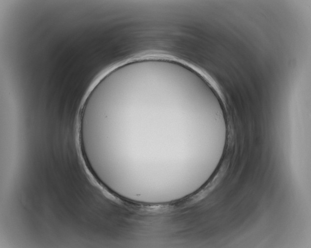 X0000114491390200910191108
