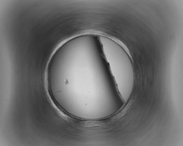 X0000114491391200910191108