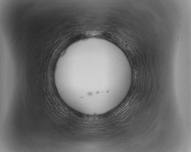X0000114491393200910191107