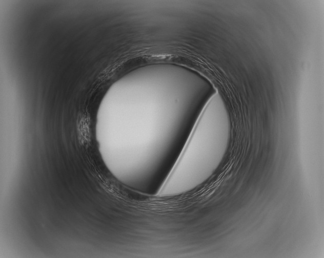 X0000114491394200910191107
