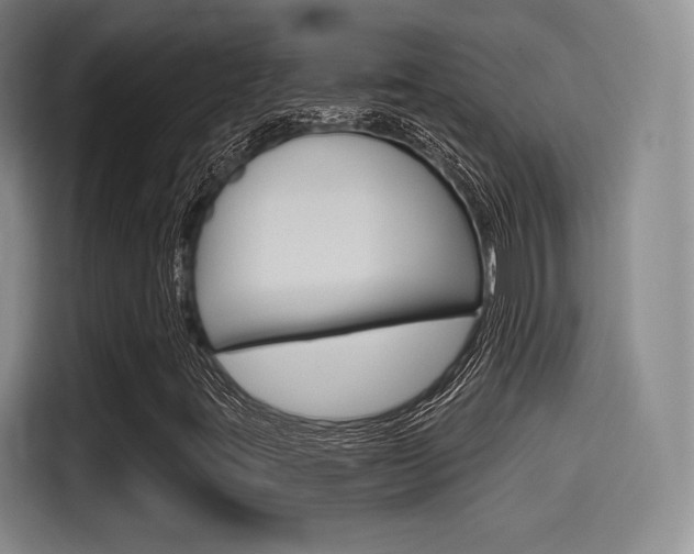 X0000114491395200910191107
