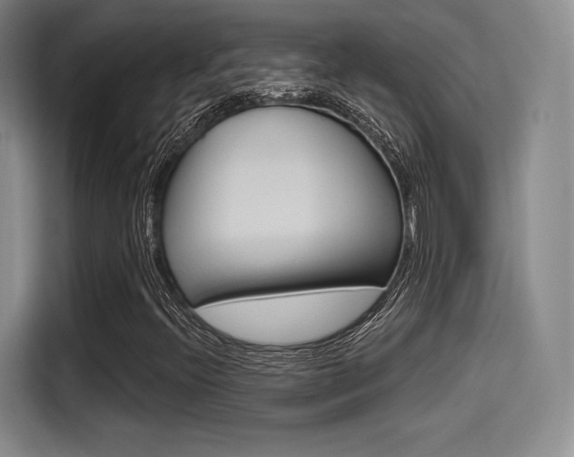 X0000114491396200910191107