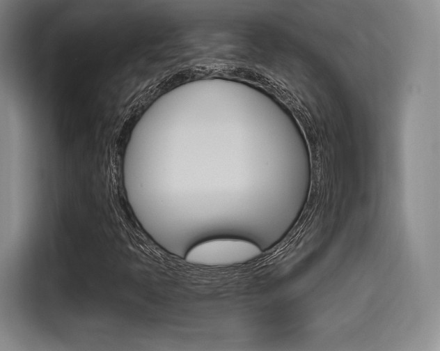 X0000114491397200910191107