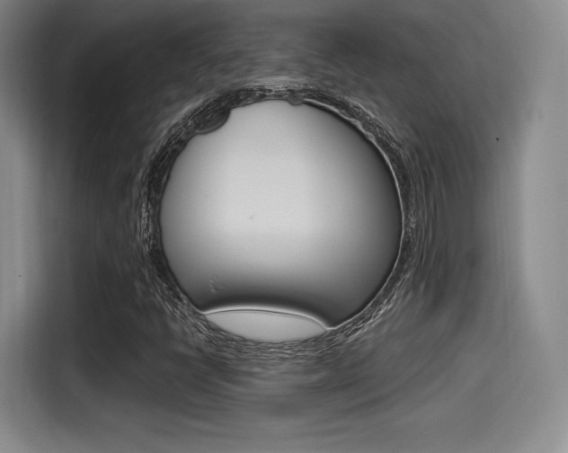 X0000114491398200910191107