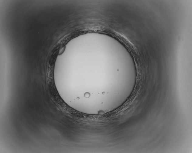 X0000114491399200910191107