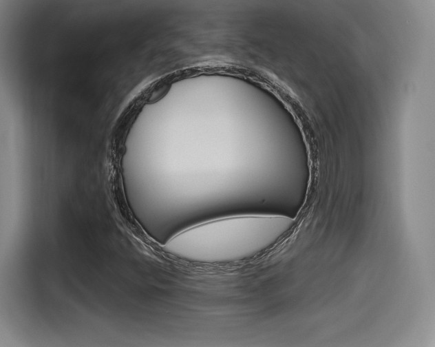 X0000114491400200910191107
