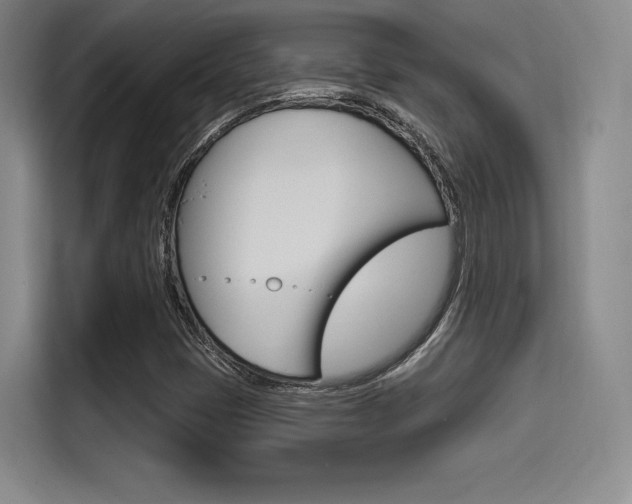 X0000114491401200910191107