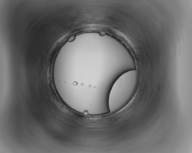 X0000114491403200910191107