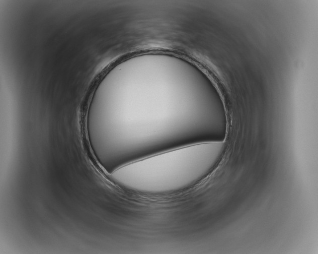 X0000114491404200910191107