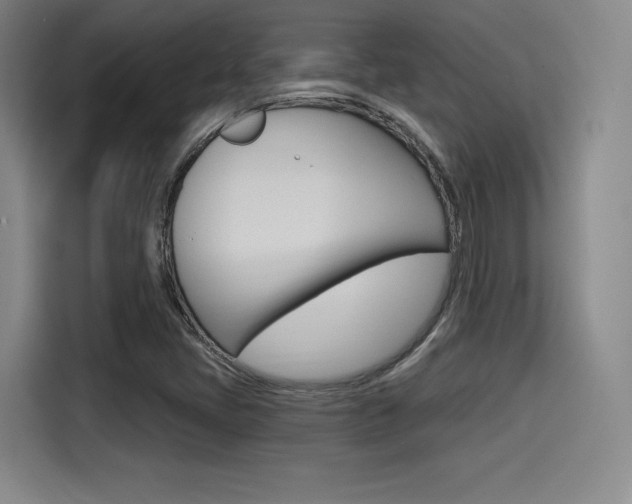 X0000114491405200910191107