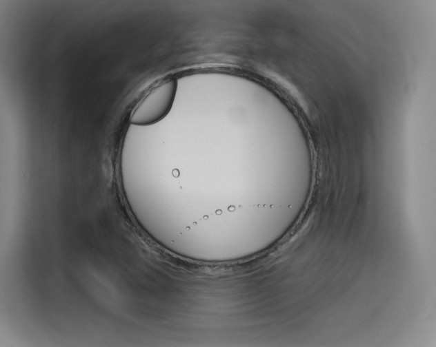 X0000114491407200910191107