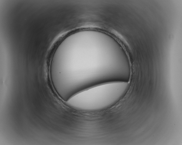 X0000114491408200910191107