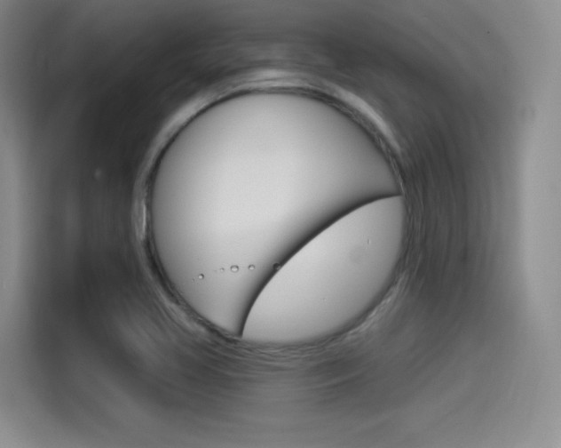 X0000114491413200910191107