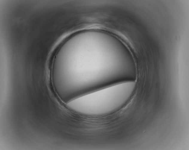 X0000114491414200910191107