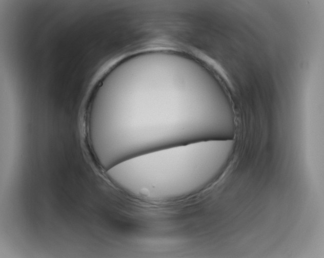 X0000114491415200910191107