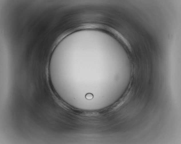 X0000114491417200910191107