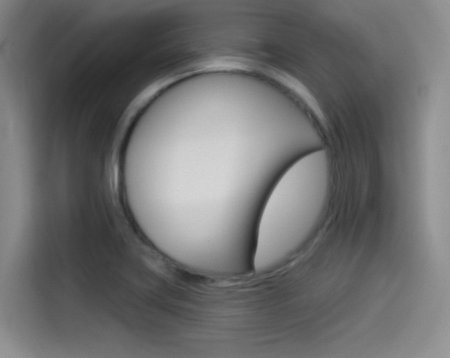 X0000114491419200910191107