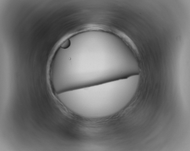 X0000114491427200910191107