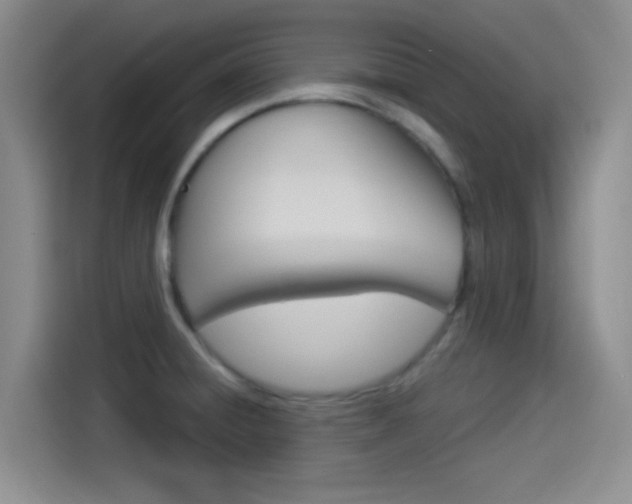 X0000114491428200910191107